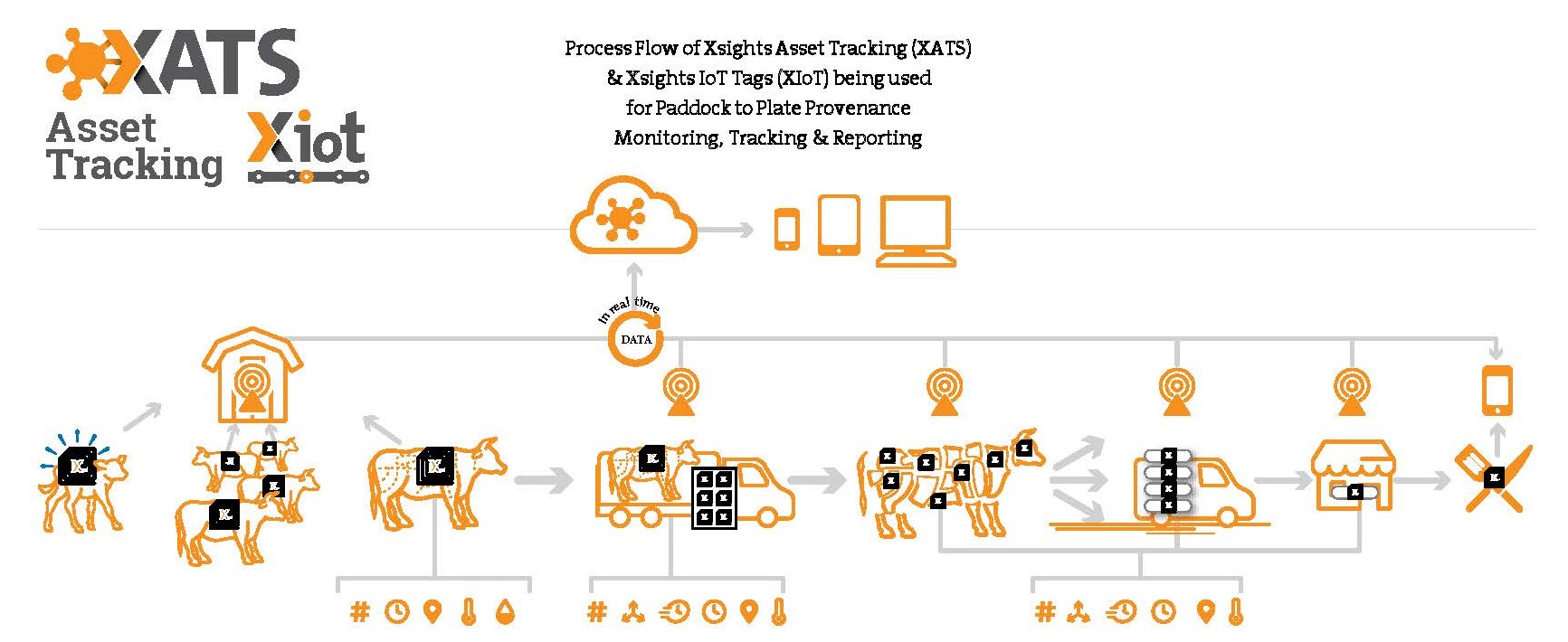 Process Flow of Xsights Asset Tracking (XATS) & Xsights IoT Tags (XIoT) being used for Paddock to Plate Provenance Monitoring, Tracking & Reporting